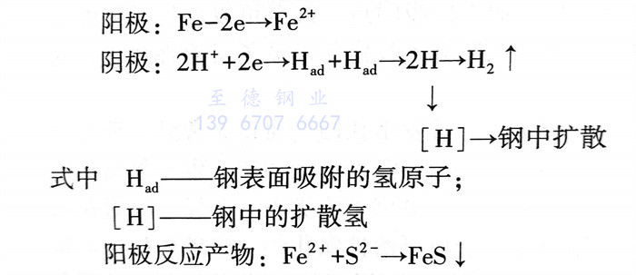 雜 1.jpg